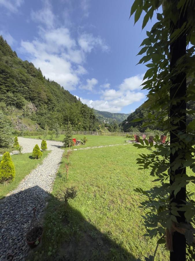 Dream River Exclusive Bungalow Rize Exteriör bild