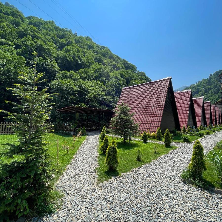 Dream River Exclusive Bungalow Rize Exteriör bild