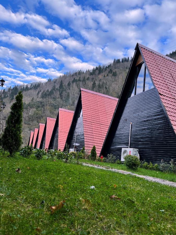 Dream River Exclusive Bungalow Rize Exteriör bild