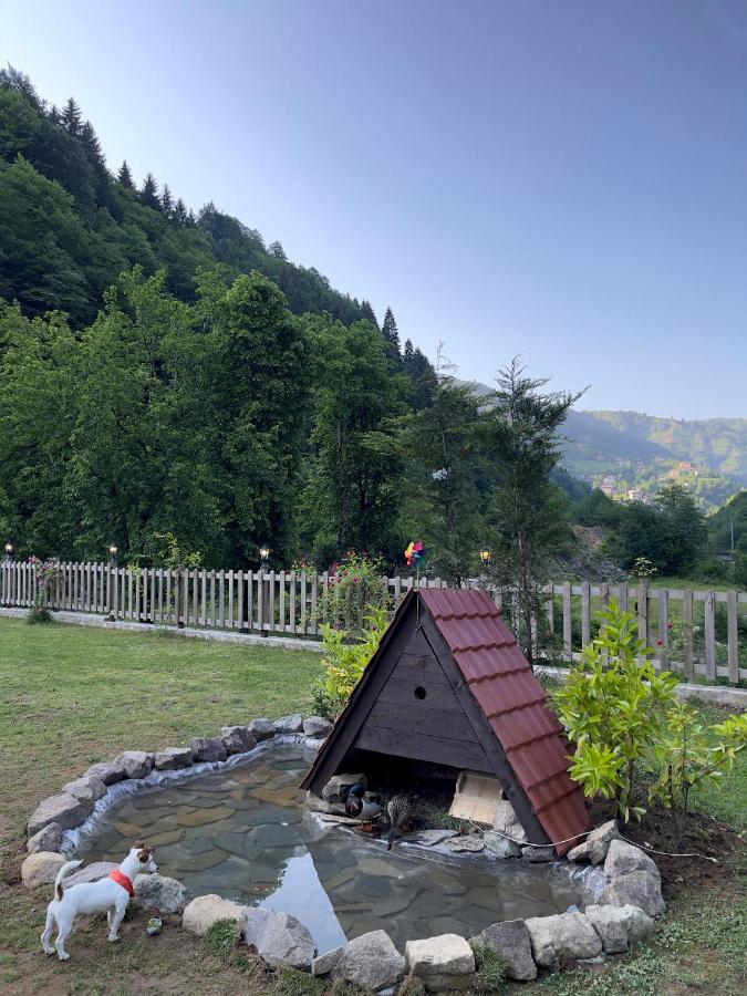 Dream River Exclusive Bungalow Rize Exteriör bild